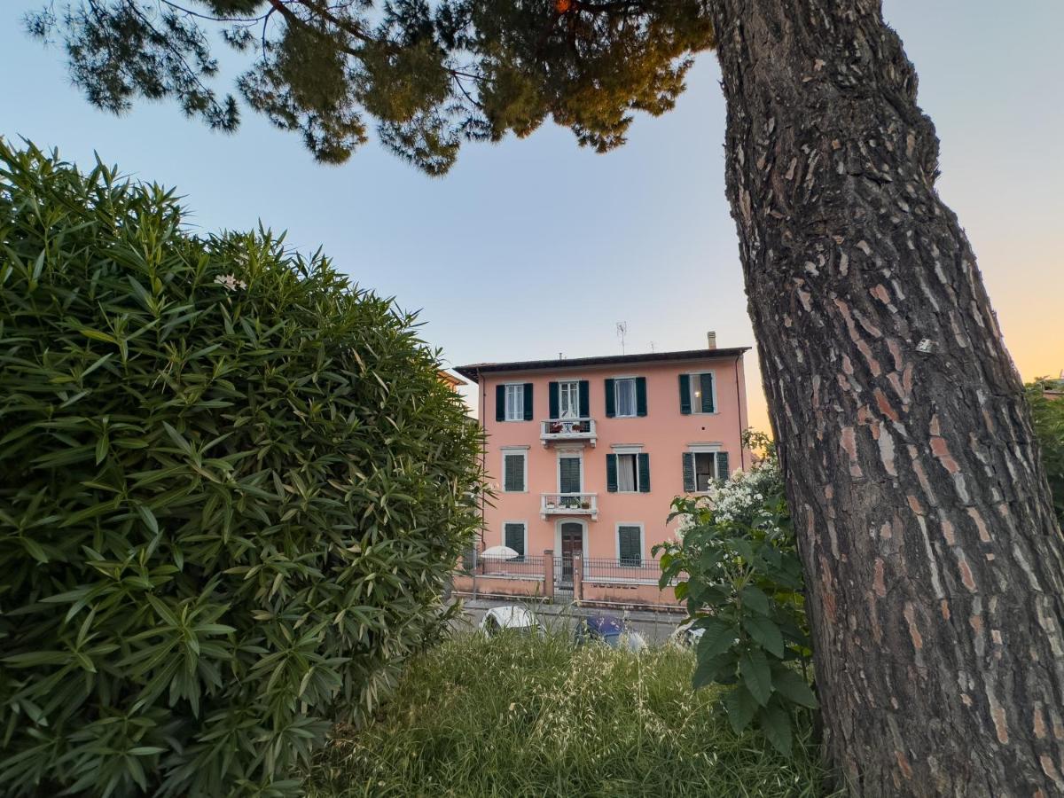 La Casa Di Eli Appartamenti Pisa Bagian luar foto
